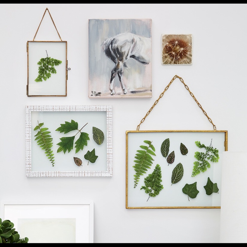 Framed Pressed Leaves